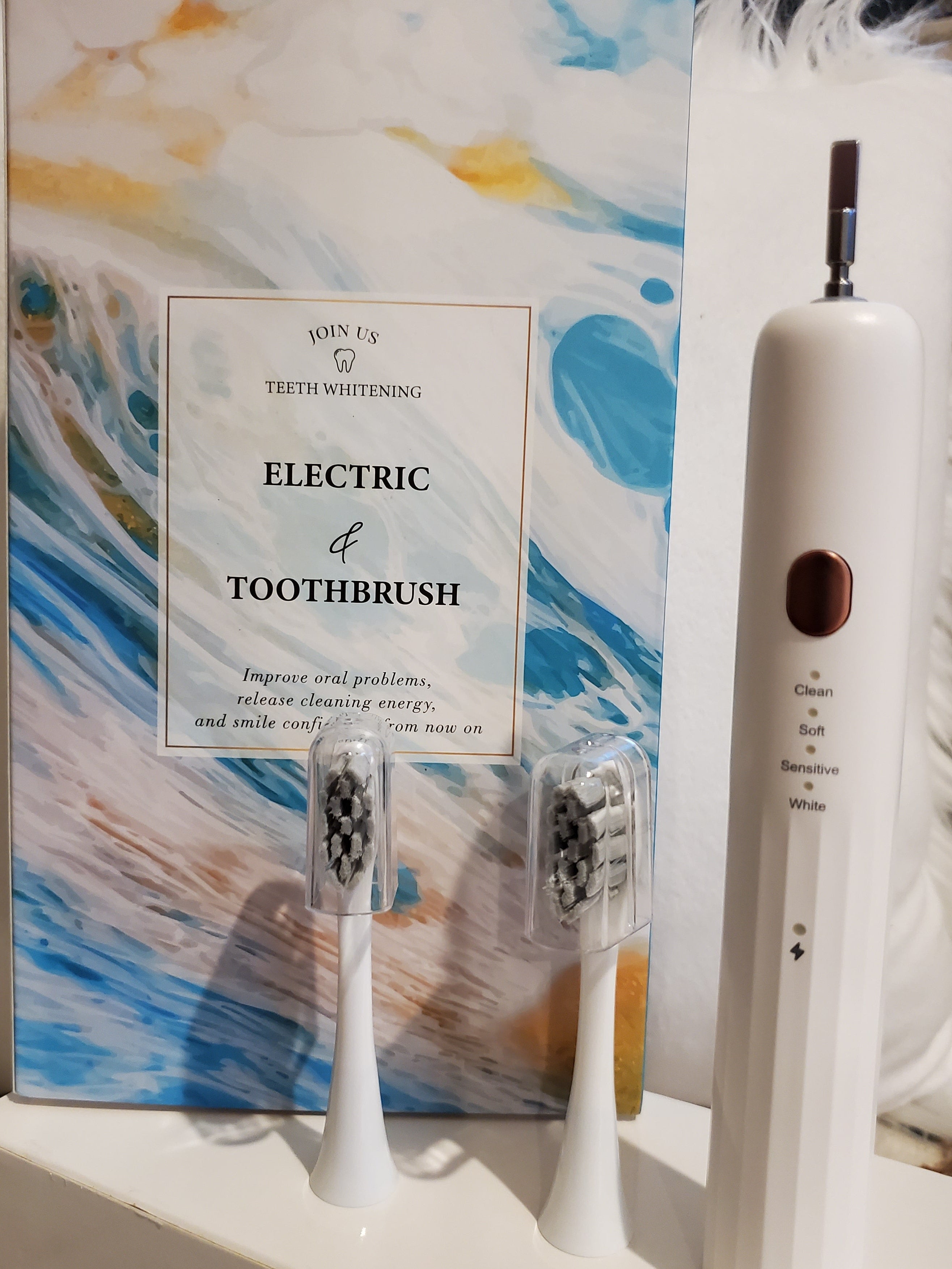 Electric toothbrush with two head brushes